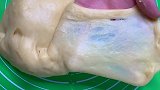 不用烤箱，也可以做吐司面包，孩子馋哭了
