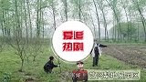 那英沉溺捞鱼摸蛋，彭昱畅比拼羽毛球被虐，杨紫嘱咐张艺兴有腰伤