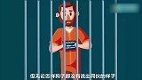 脑力测试：这两条路，哪一条是安全的？