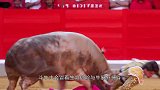 “年轻人不讲武德”，数名男子抱团斗牛，公牛：这算什么本事？