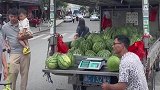 为了能吃上西瓜真的拼了