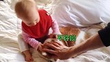 萌娃和猫咪相爱相杀，喵星人凶小宝宝，小宝宝把猫咪当抹布