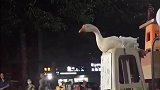 第一次做小偷，还有点紧张呢