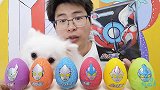 眼镜哥开趣味“奥特蛋”，玩具迷你真可爱，脆皮巧克力香甜可口