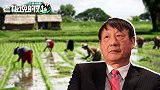中国农民收入增长最快！专家：谁跟他们做生意，谁增长速度越快