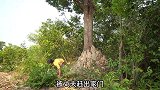 女人被丈夫赶出家门，独自在荒野建造别墅。