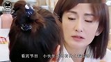 章子怡问谢娜还爱刘烨吗？谢娜的回答堪称教科书