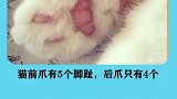 你不知道的冷知识