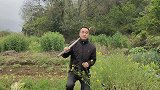 老妈在槐花树洞里发现一条3米“大家伙”，小伙能抓住大蛇吗？