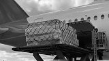 中国援助！12吨物资从上海送至马德里 4吨口罩+5吨防护服