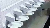 无人饺子馆，四分钟完成上桌，你想尝试吗