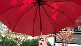 大家都在用这种全自动雨伞，你呢