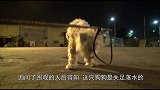 流浪狗失足落水，竟拒绝人类的帮助，原因让人羞愧
