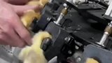 原来小鸡竟然是这样打疫苗的