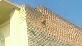 橘猫：让本猫咪告诉你什么才是真正的攀岩，连安全带都不用！