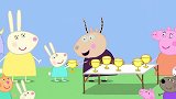 小兔瑞贝卡赢了比赛！佩奇最后到终点，而且还气喘吁吁！