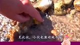 小伙捡500公斤狗头金，发愁怎么花！