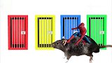 少儿亲子游戏：老鼠把钢铁侠，蜘蛛侠和绿巨人锁在了笼子里！