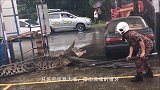 暴雨过后，后院闯入一个“大家伙”，刚想逃却被小伙一把擒住尾巴