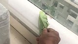 大哥你这样真的好吗，简直不要太坏