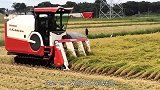 半喂入式水稻收割机是什么