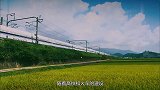 为什么火车可以在夜间行驶，高铁到了晚上，却要停运呢