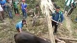 这脚下去，应该很难站的起来了