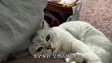 40岁的女人主动起来，谁敢来战