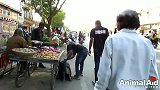 游走街边，时日不多的老狗，带着它可怕的伤口被人发现，会怎样？