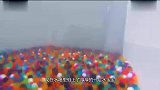 奇葩游戏，接住从天而降的水宝宝头铁才能玩的动的游戏