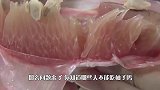 不能和柚子一起吃的食物