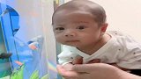 小宝宝第一次看到鱼缸里的鱼，惊讶的一直盯着看，眼珠子都快出来