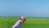 海滩变草原浒苔入侵日照海域，每年需耗费大量精力清理
