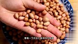 老农偷偷告诉我，这种花生米不要买，再便宜也不行，看完记心上