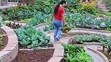 丈夫为妻子打造专属花园，看这后花园，郁郁葱葱