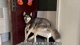 如不是监控我是不会相信这是真的！