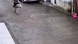 还有这么不文明的人，大姐路上直接大号，太恶心了！