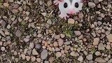 在它眼里，或许你就是它的全部