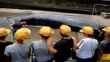 日本组织小学生观看杀鲸鱼 校长称培养自豪感