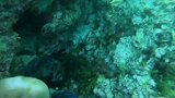 海捕澳龙全记录，不一样的视觉体验