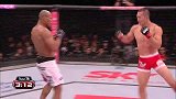 UFC-14年-UFC Fight Night 50自由格斗：索萨vs冈见勇信-专题