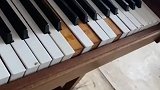 钢琴键盘都掉了，看了好一会你倒是弹啊