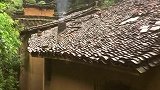 一日秋雨一日寒，微风细雨更缠绵