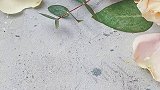 这么好吃的香肠你吃过吗？俄罗斯美食好物推荐吃货牛肉肉食主义零食推荐代餐