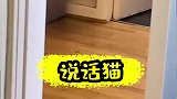 前面说的我一句不懂，最后一句我明白了