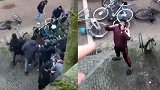 荷兰示威者摔砸自行车 女车主后一声怒吼 示威者秒变“绅士”