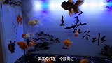 养鱼笔记1季31集：隔离缸，养鱼大神和小白的区别