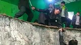 兄弟们，这是一个什么样的情景发现又被导演给骗了