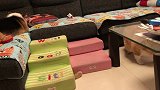 维皮因为玩具吵起来了，结果皮皮痛失玩具，猪小白假装劝架偷走了玩具
