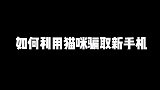 如何通过小猫咪获得一个新手机猫大骗子！人类都是大骗子！
